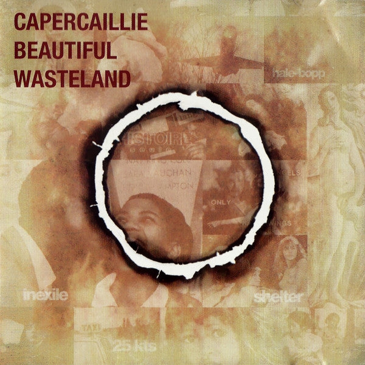 Capercaillie – Beautiful Wasteland (CD Album) – USED
