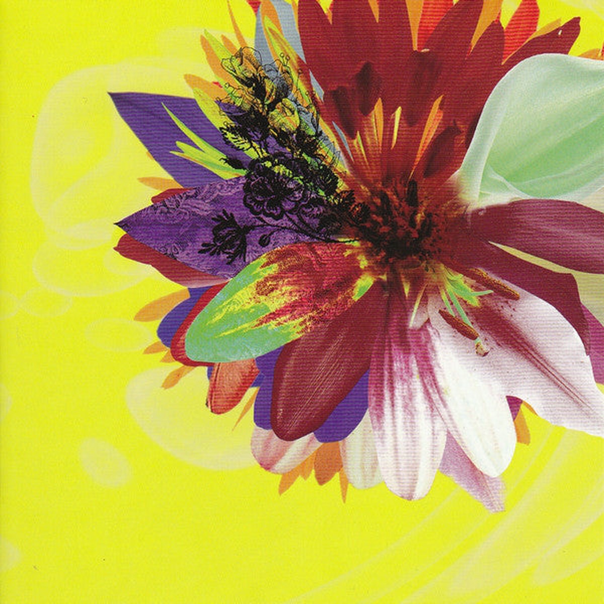 - Cassis (CD Maxi DVD-V Ltd NTSC) - USED