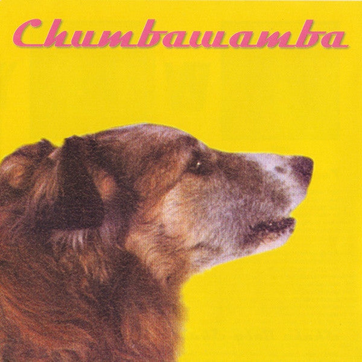 Chumbawamba – WYSIWYG (CD Album) – USED