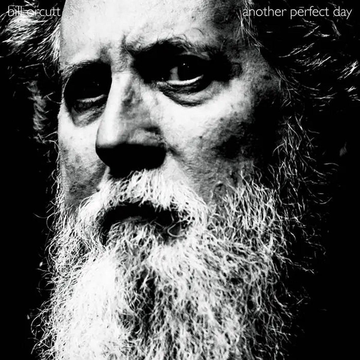 Bill Orcutt – Another Perfect Day