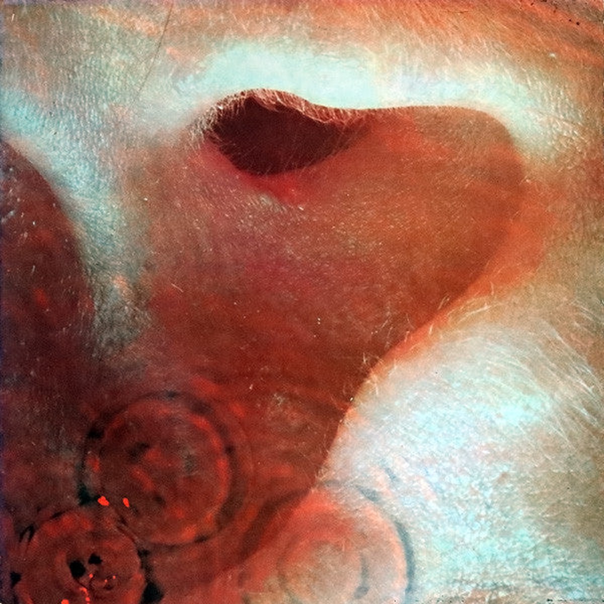 Pink Floyd – Meddle (LP Album Gat) – USED