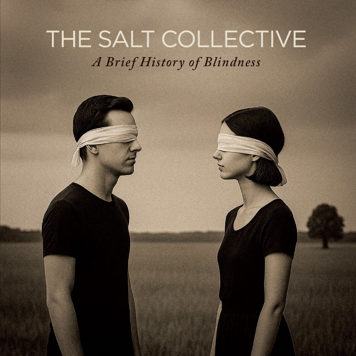The Salt Collective – A Brief History of Blindness Citrine Mist Vinyl