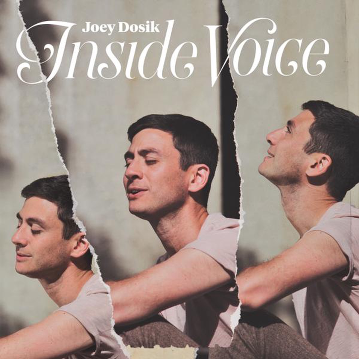 DAMAGED Joey Dosik – Inside Voice White Vinyl