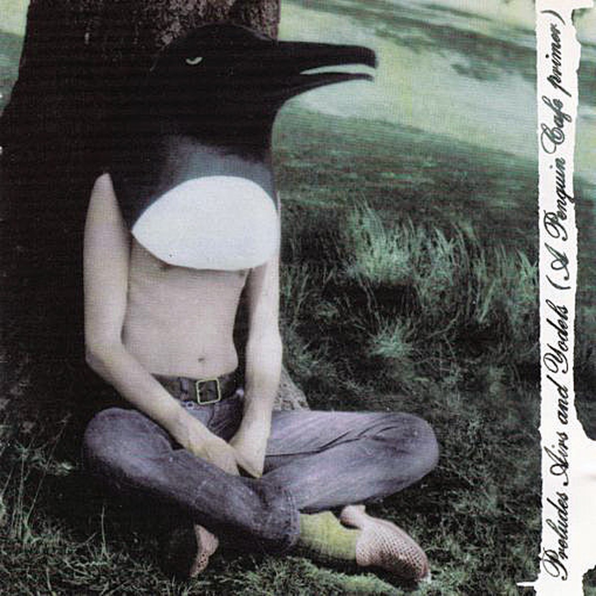 Penguin Cafe Orchestra – Preludes Airs Yodels (A Penguin Cafe Primer) (CD Comp) – NEW