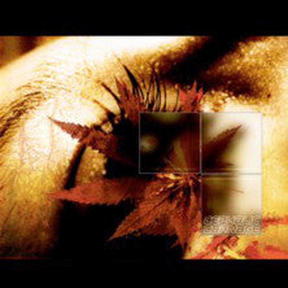 Cephalic Carnage – Conforming To Abnormality (CD Album RE RM) – USED
