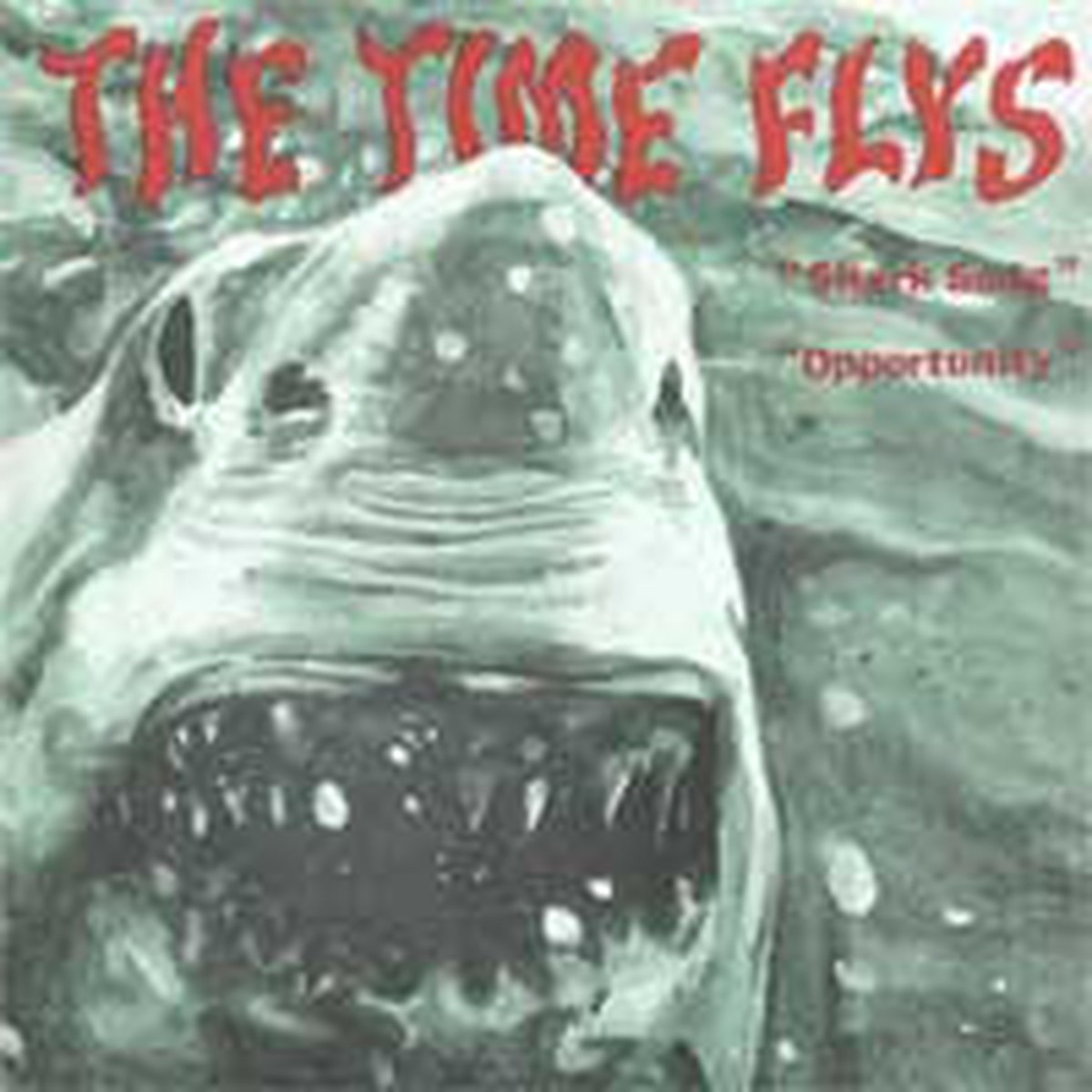 The Time Flys – Reality (Is A Rock Band) (7 Single) – USED