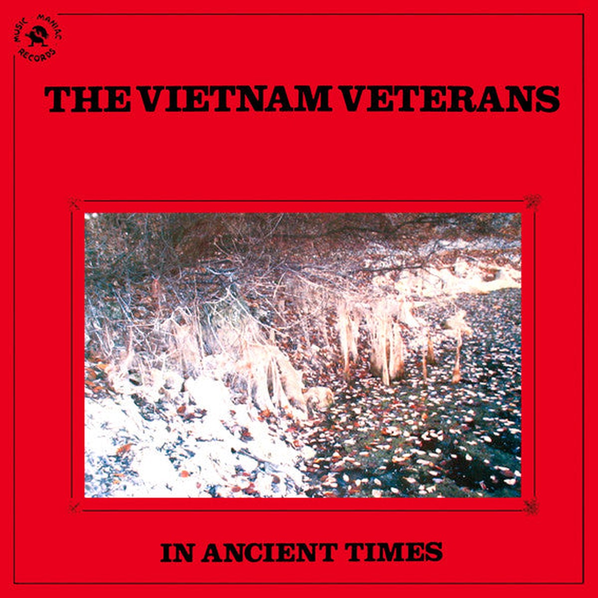 The Vietnam Veterans – In Ancient Times (LP Album) – USED