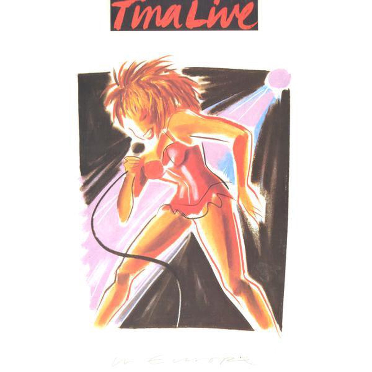Tina Turner – Tina Live In Europe (2xLP Album) – USED