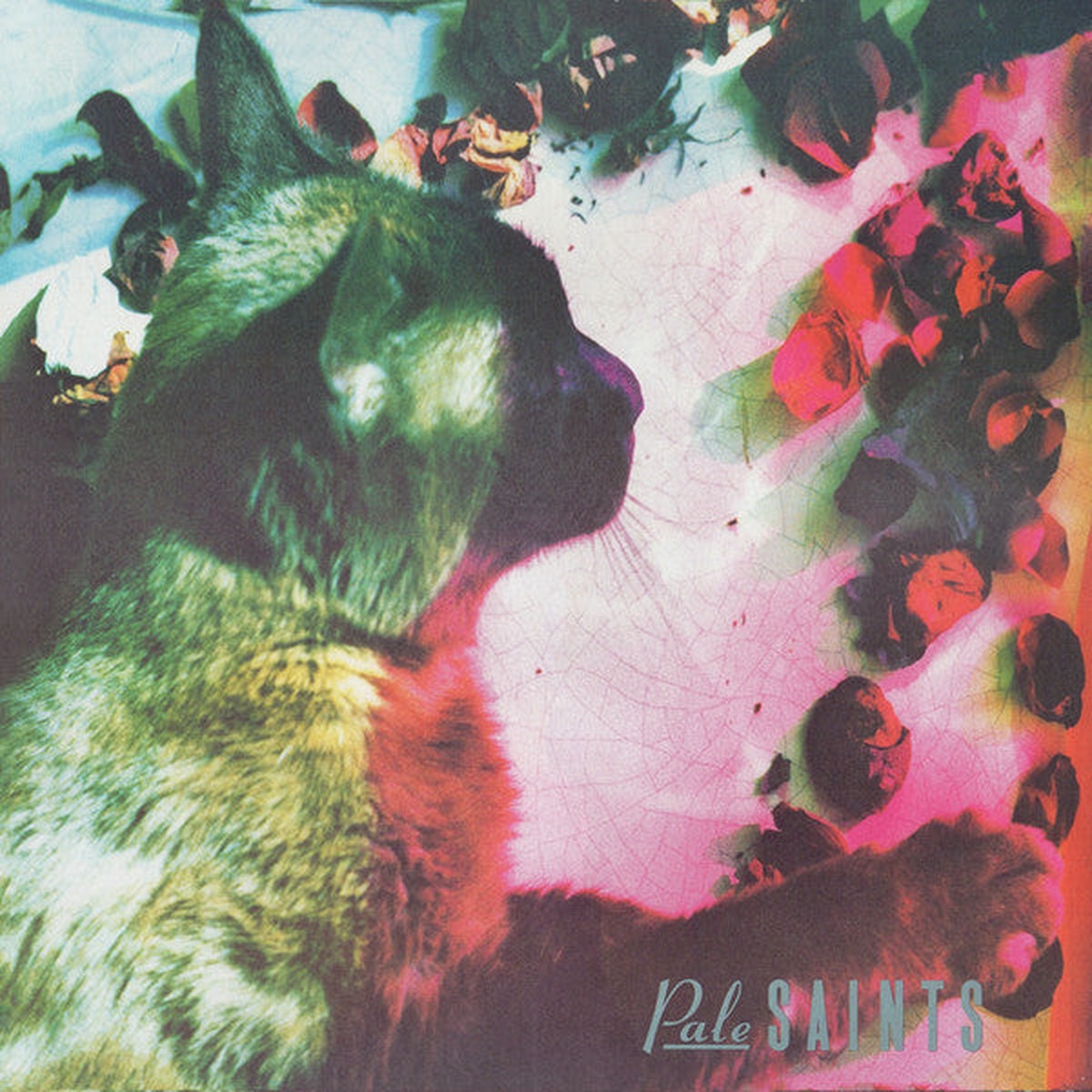 Pale Saints – The Comforts Of Madness 30th Anniversary ReMasters (LP Album) – NEW
