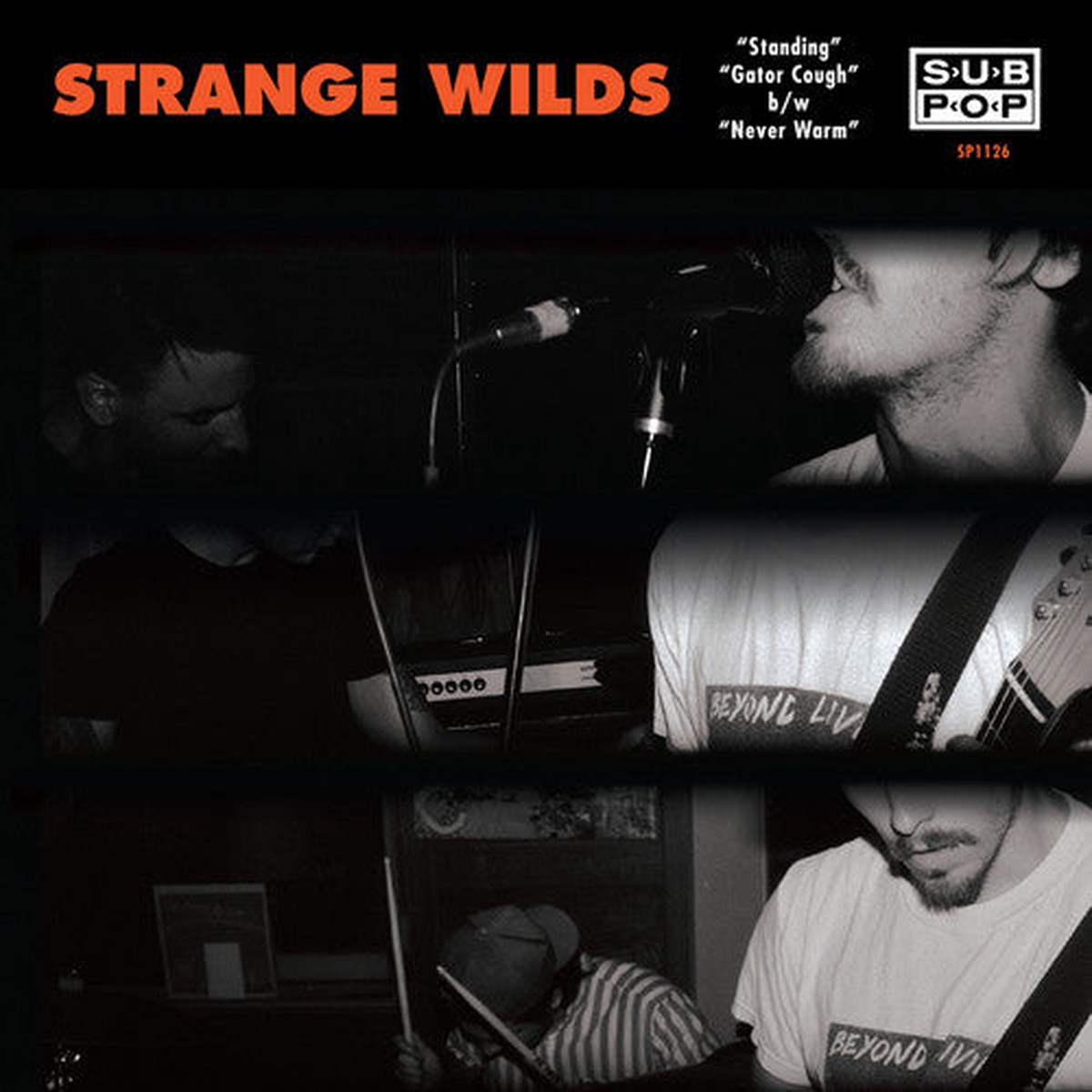 Strange Wilds – Standing2 7