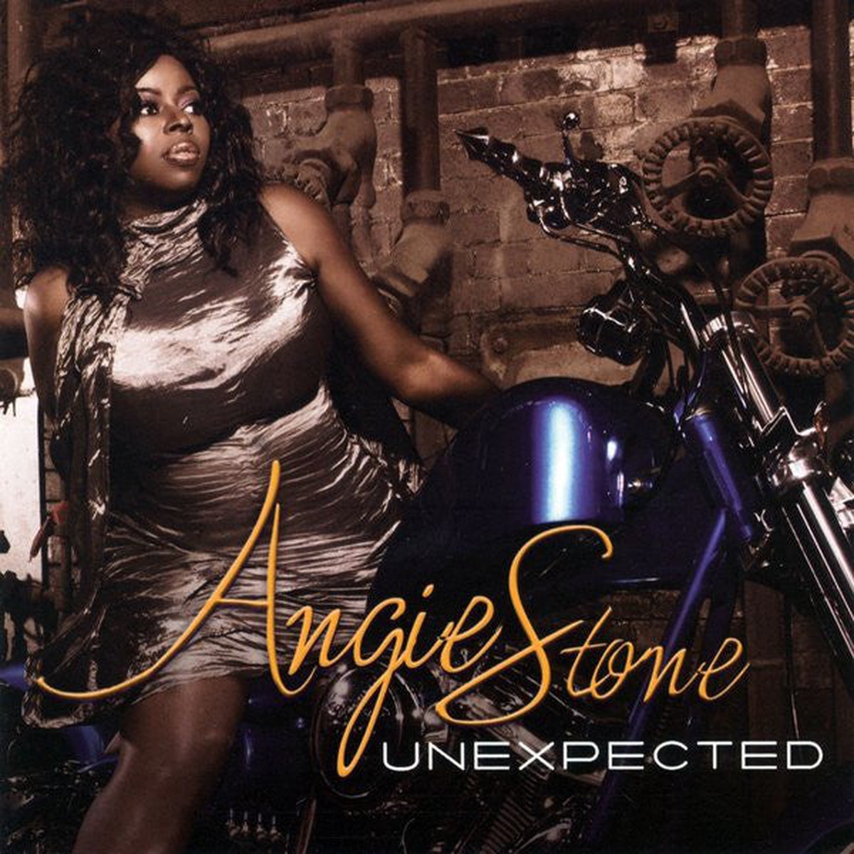 Angie Stone – Unexpected (CD Album) – USED