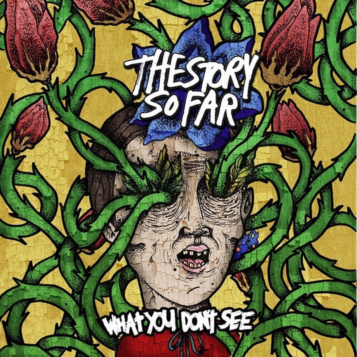 The Story So Far – What You Dont See