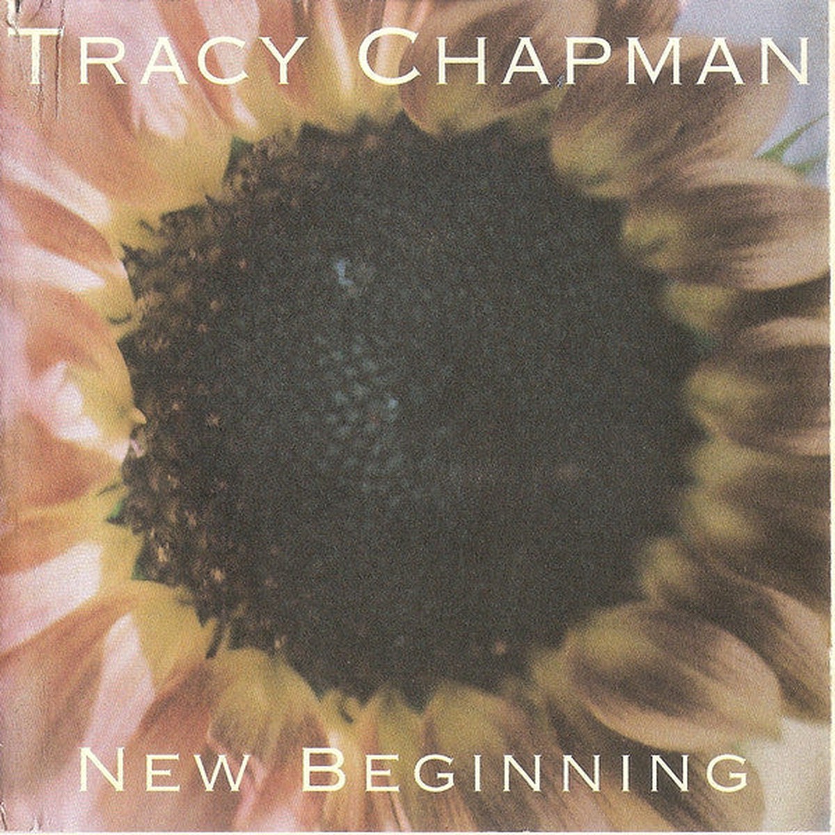 Tracy Chapman – New Beginning (CD Album RP) – USED