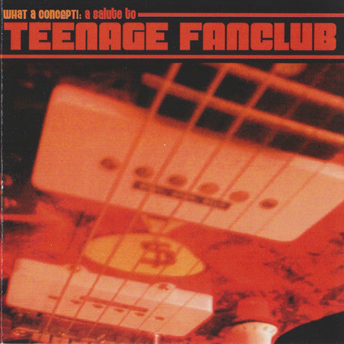 Various – What A Concept A Salute To Teenage Fanclub (CD Comp) – USED