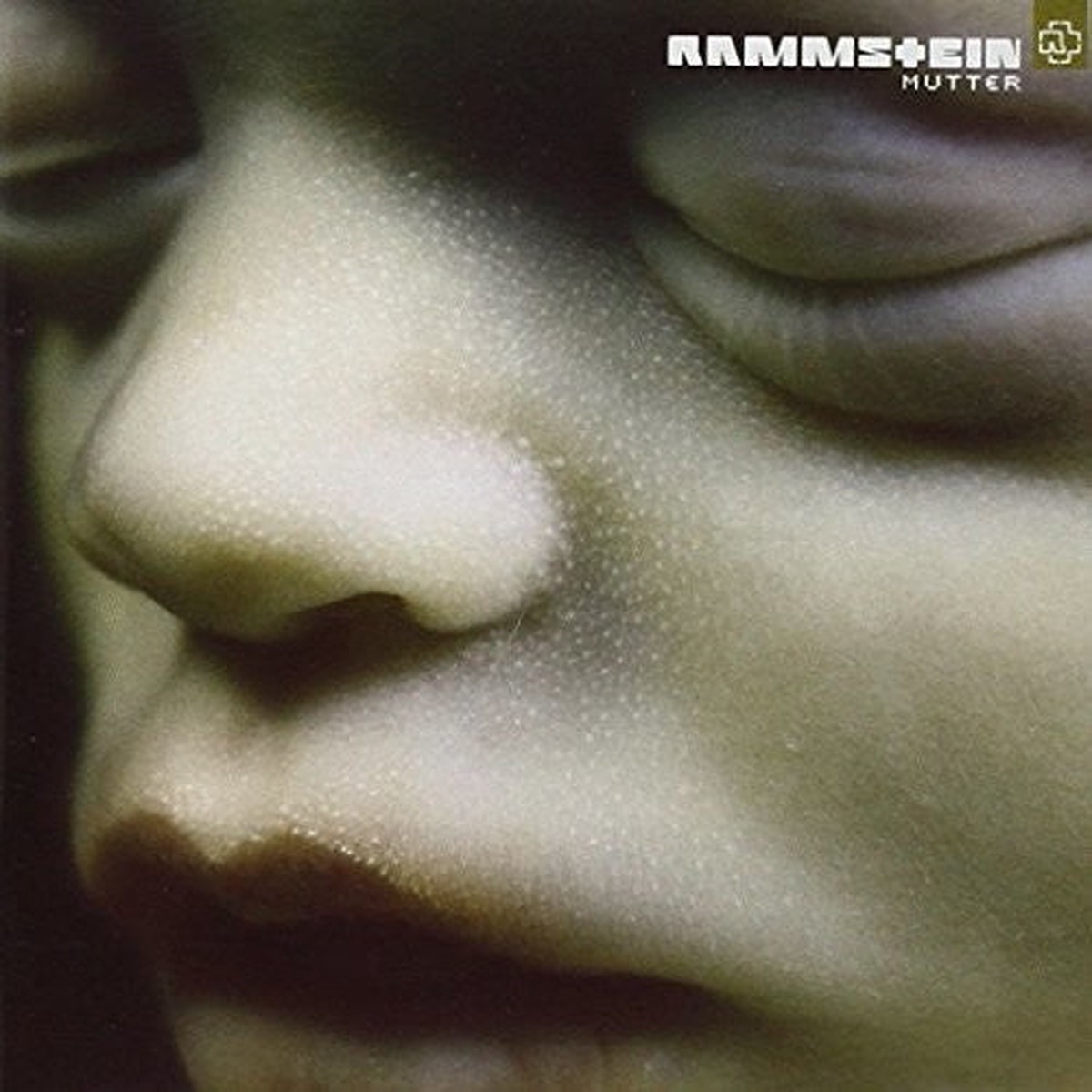 DAMAGED Rammstein – Mutter