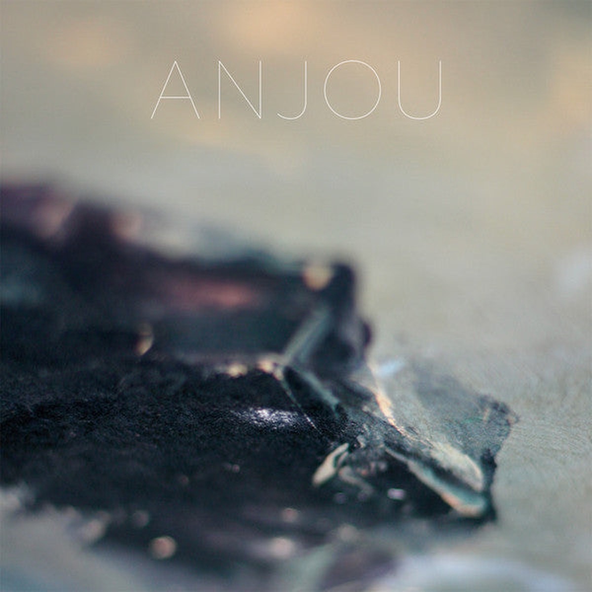 Anjou (2) - Epithyma (CD Album) - NEW