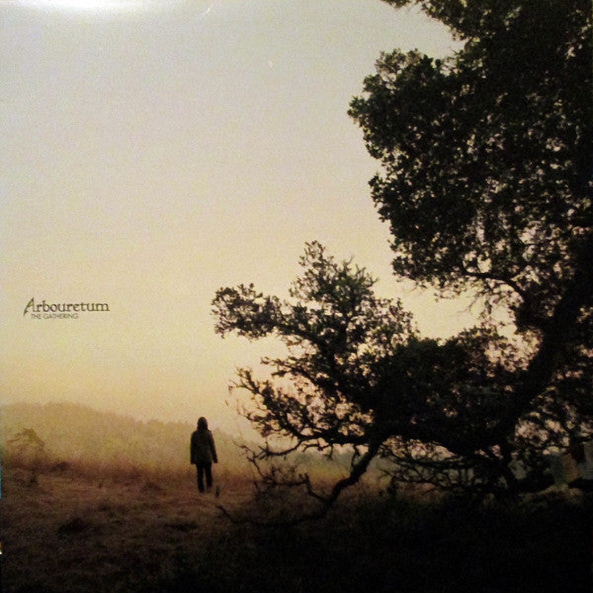 Arbouretum - The Gathering (LP Album) - NEW