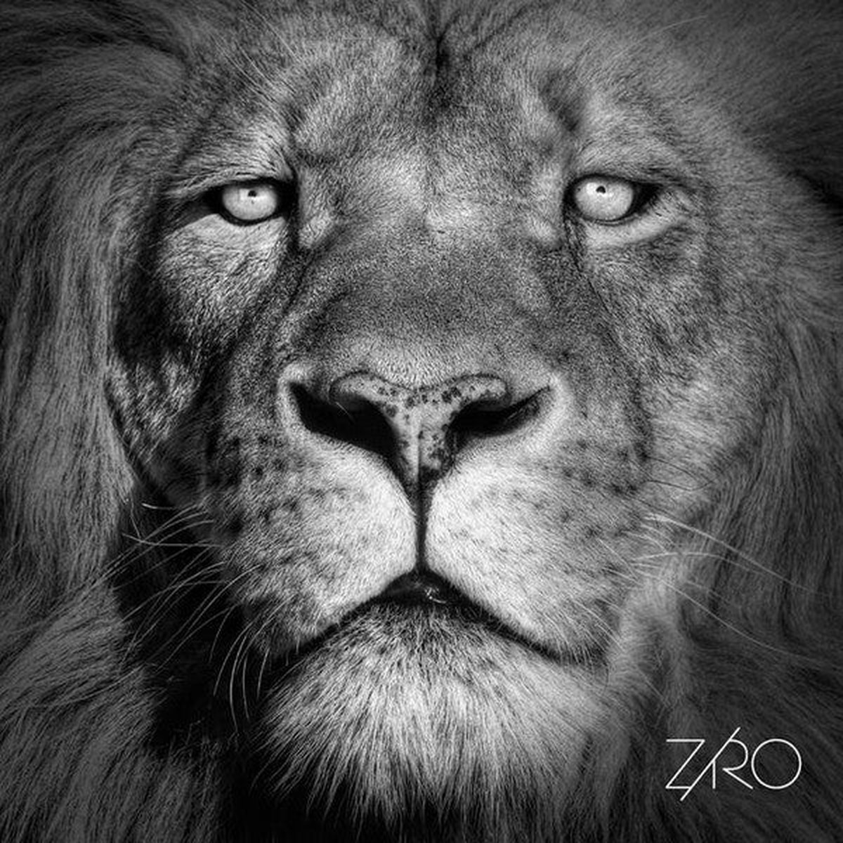 Ziro - Lionheart Ep (12 EP) - NEW