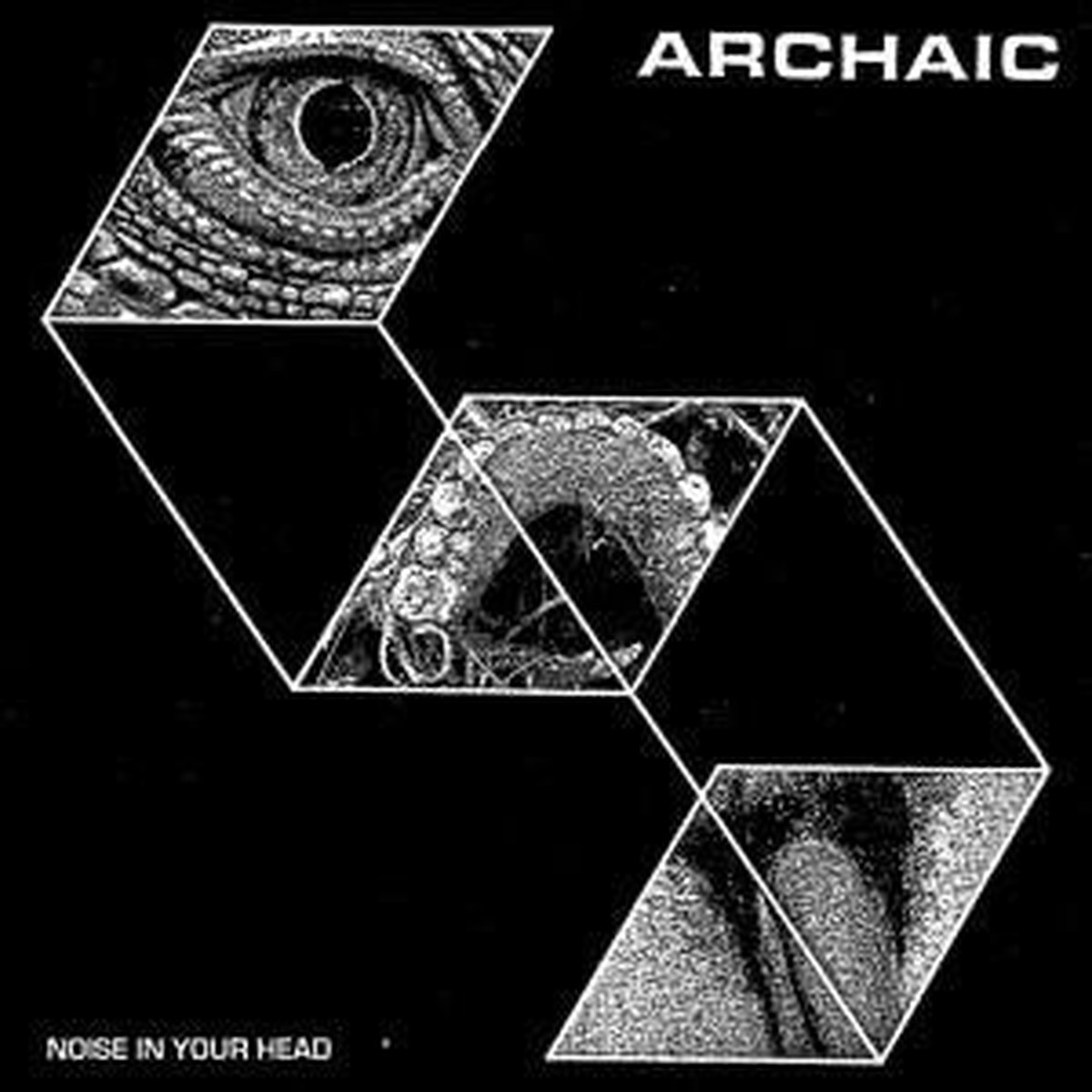 Archaic (7) - Noise In Your Head (7 Yel) - USED