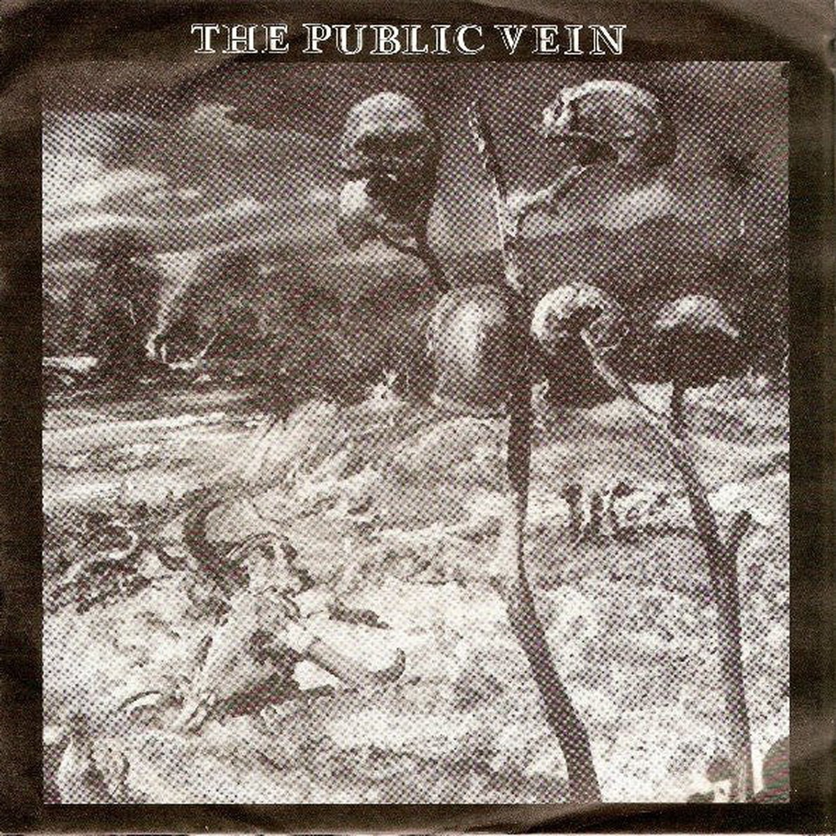 The Public Vein - Carry On (7) - USED