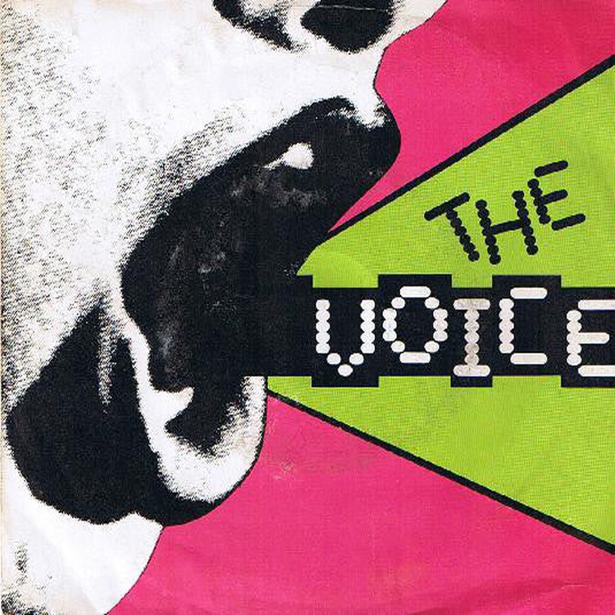 The Voice (2) - The Voice (7) - USED