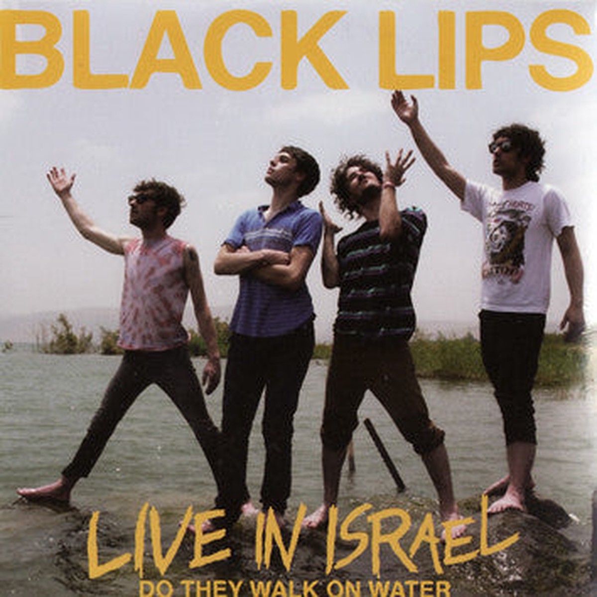 Black Lips - Live In Israel - Do They Walk On Water (DVD-V Promo NTSC) - USED