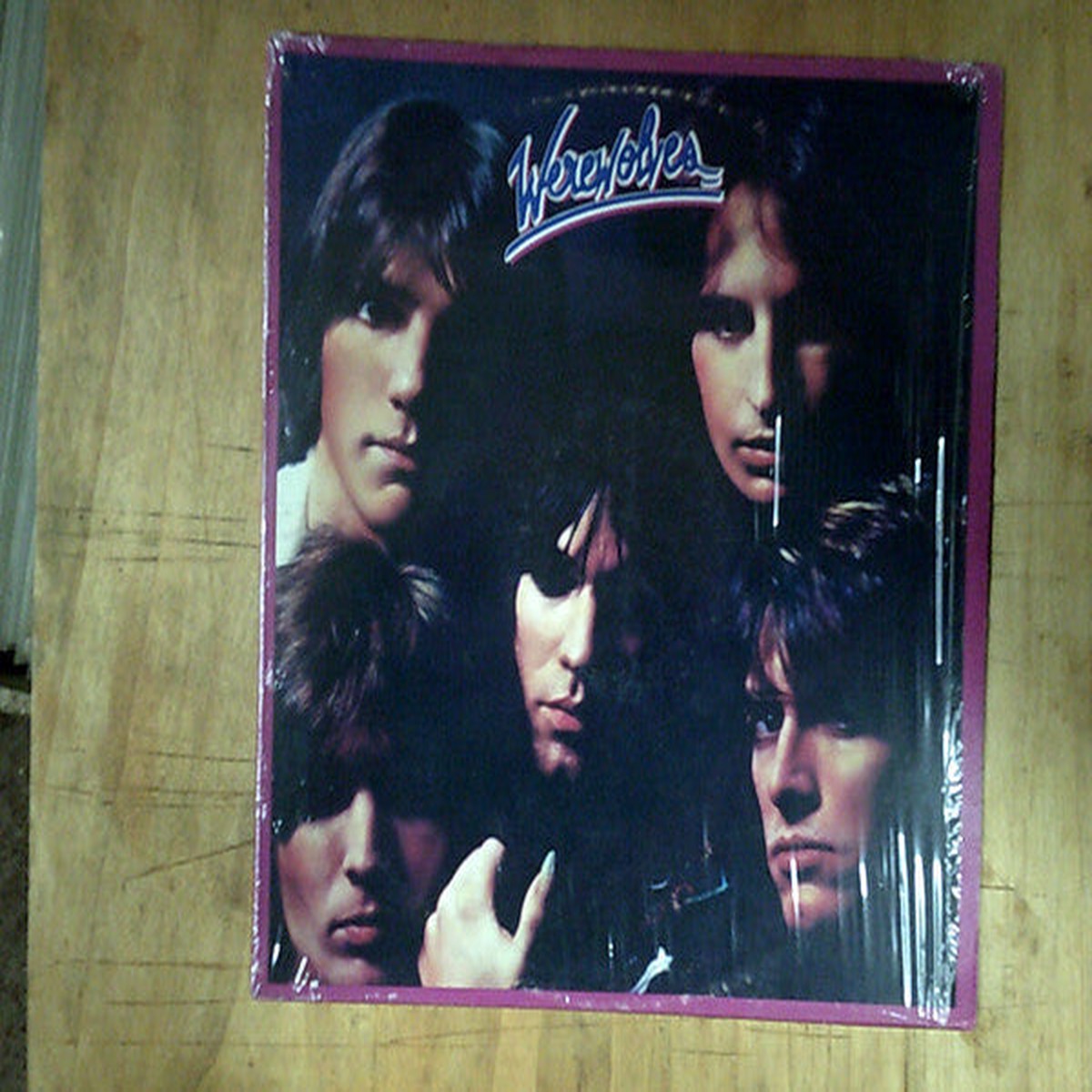 Werewolves - Werewolves (LP Album) - USED