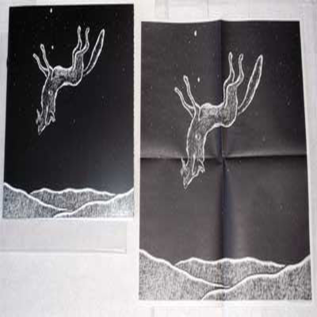 Wolfmangler - Dwelling In A Dead Raven For The Glory Of Crucified Wolves (2xLP Ltd) - NEW