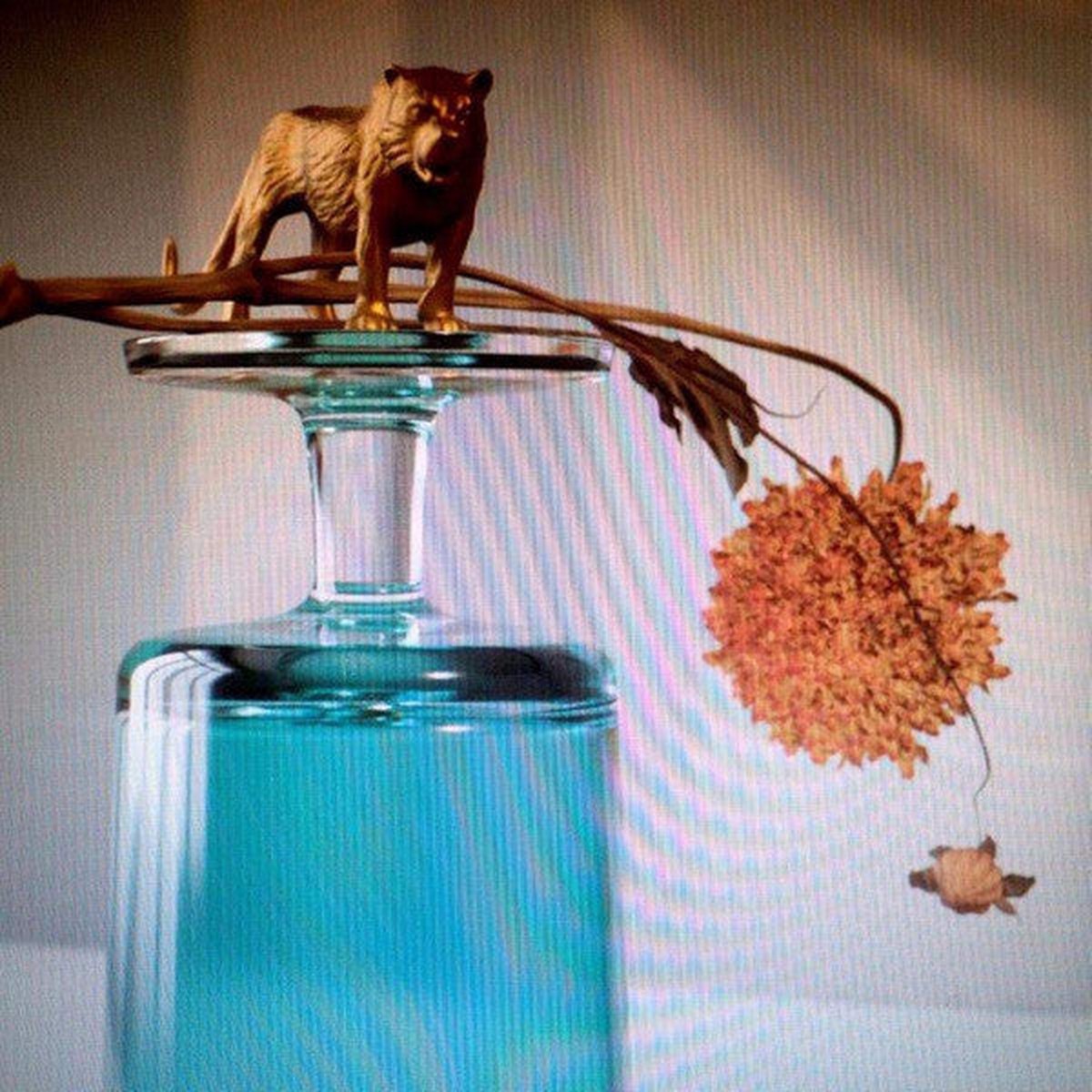 Beirut - Gallipoli (LP Album) - NEW