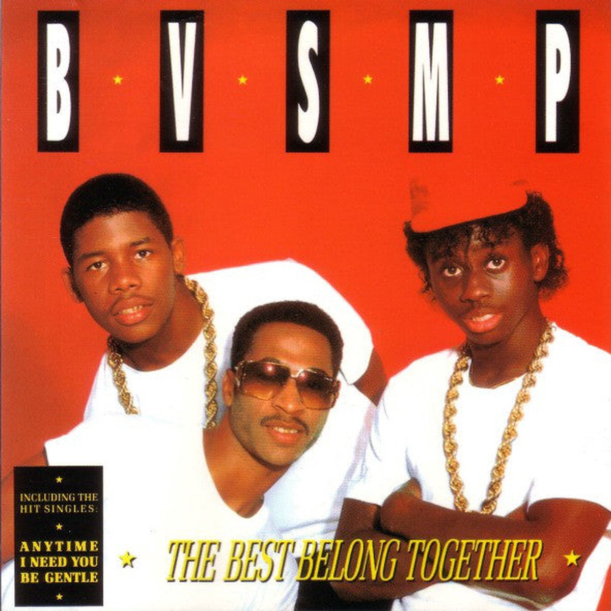 BVSMP - The Best Belong Together (LP Album) - USED
