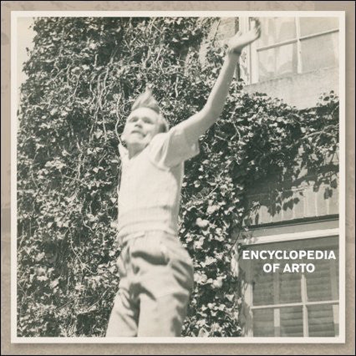 Arto Lindsay - Encyclopedia Of Arto (2xCD Comp) - NEW