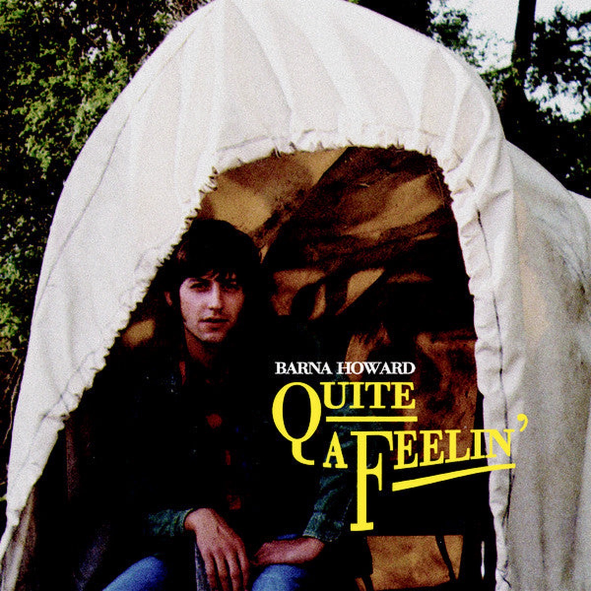 Barna Howard - Quite A Feelin (LP Album) - USED
