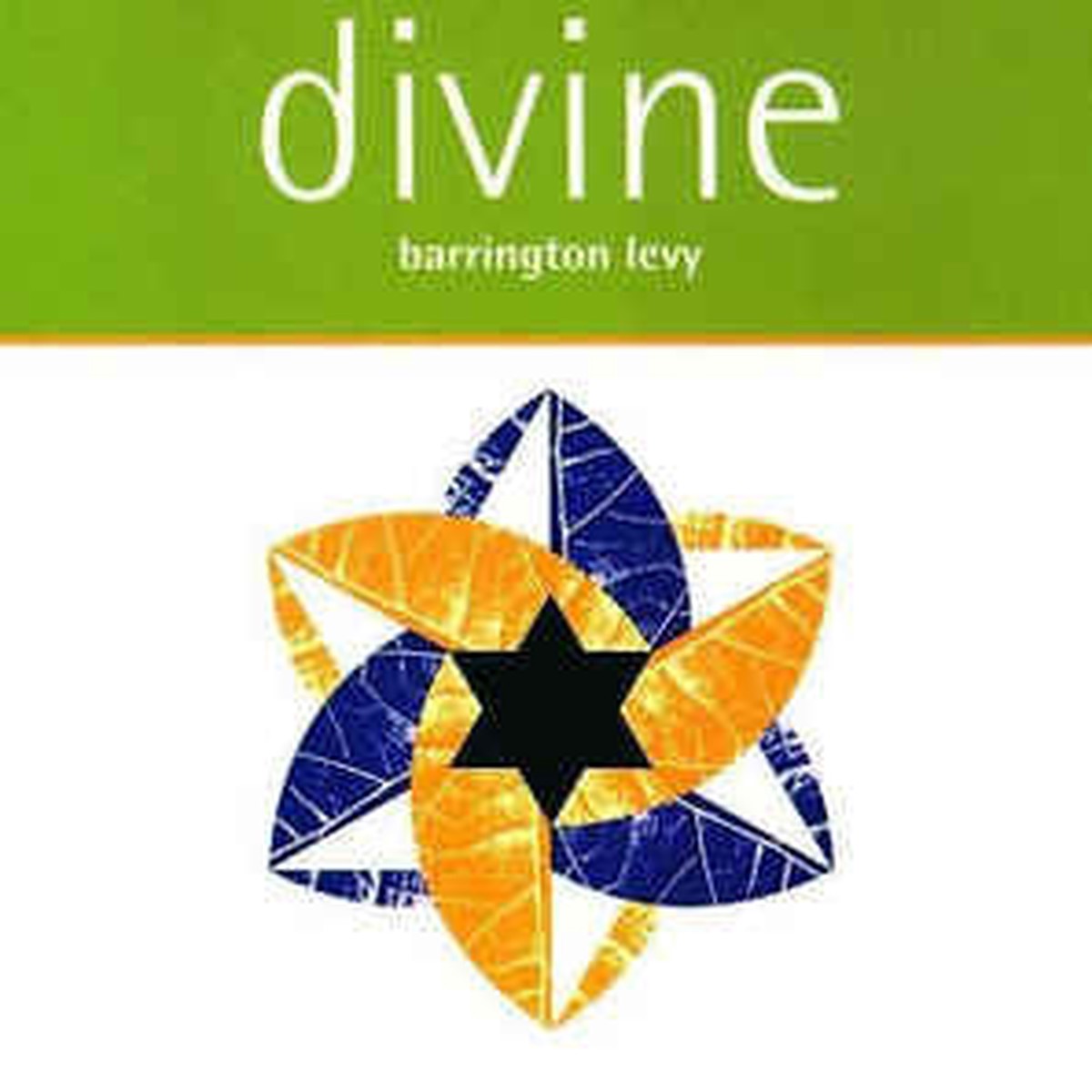 Barrington Levy - Divine (CD) - USED