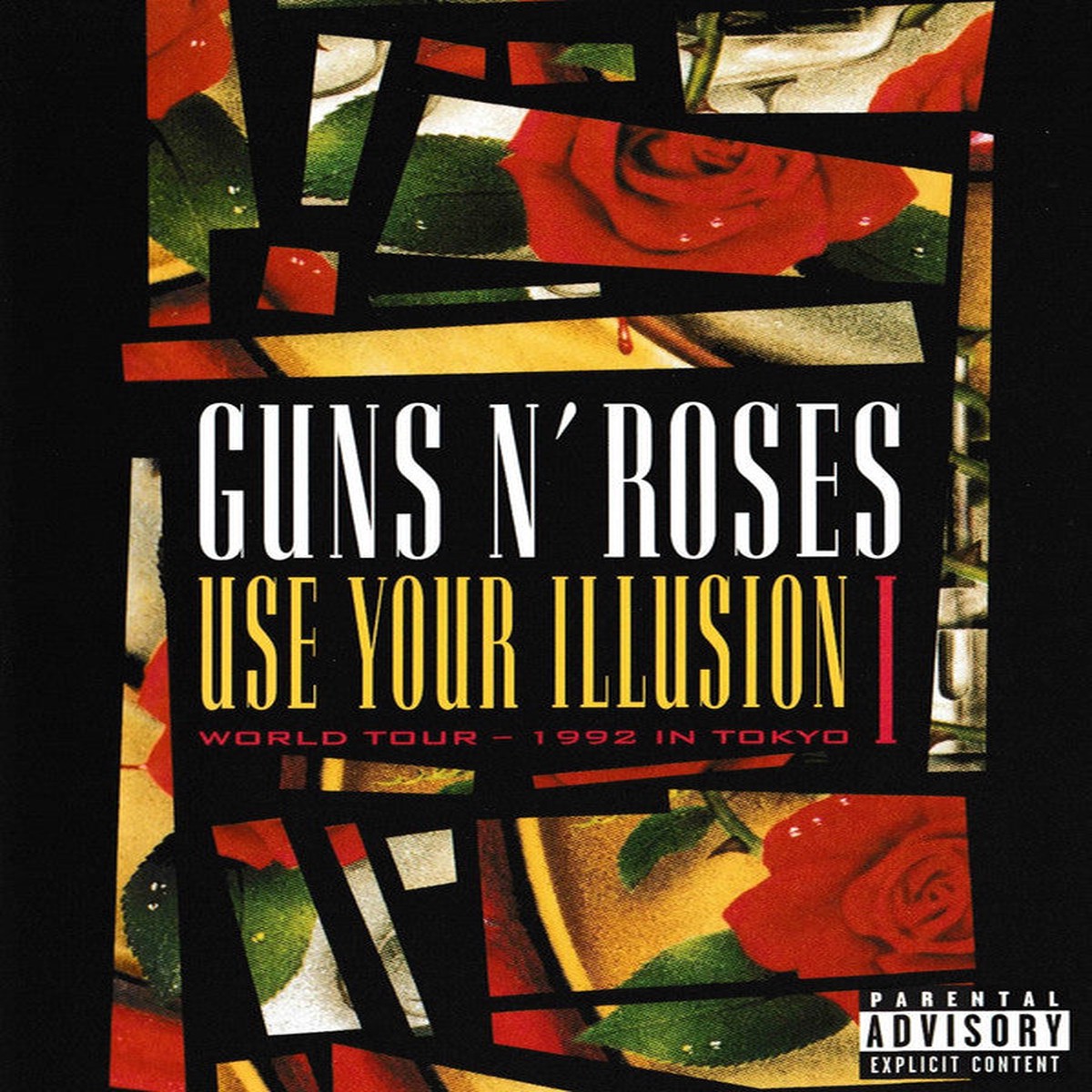 Guns N Roses - Use Your Illusion I - World Tour - 1992 In Tokyo (DVD-V Copy Prot RE PAL) - USED