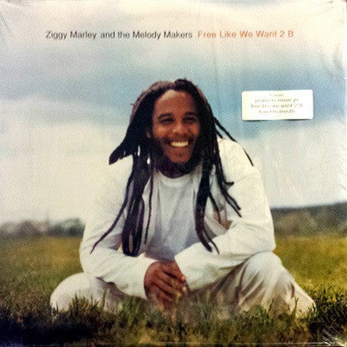 Ziggy Marley And The Melody Makers - Free Like We Want 2 B (LP Album) - USED