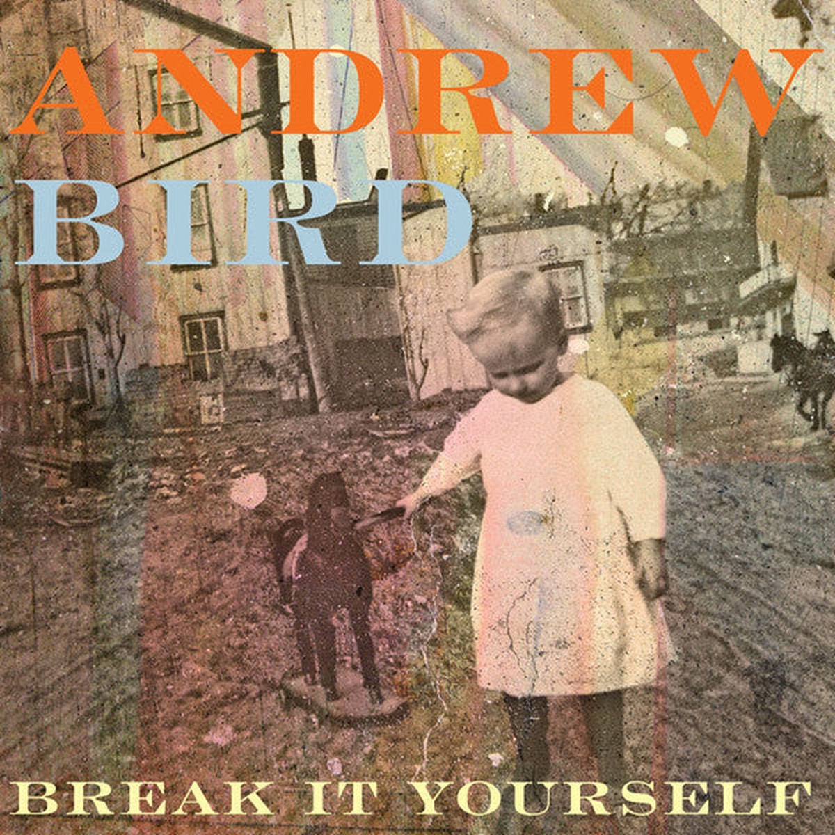 Andrew Bird - Break It Yourself (CD Album) - NEW