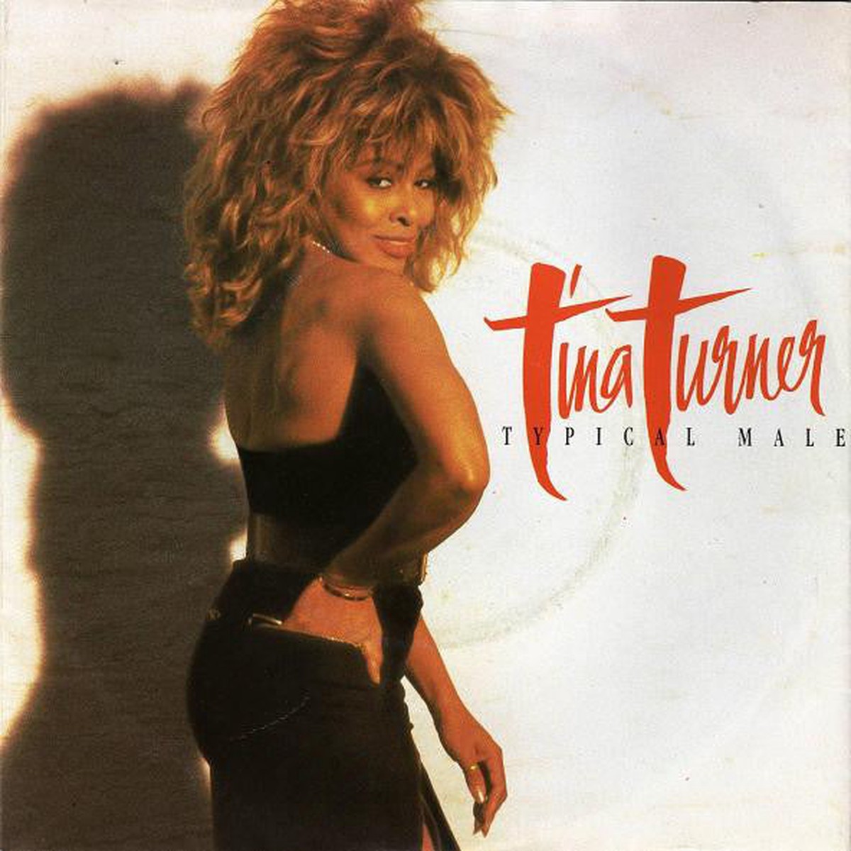 Tina Turner - Typical Male (7) - USED