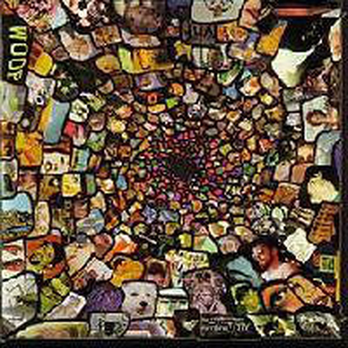 Wingtip Sloat - If Only For The Hatchery (LP Album) - USED