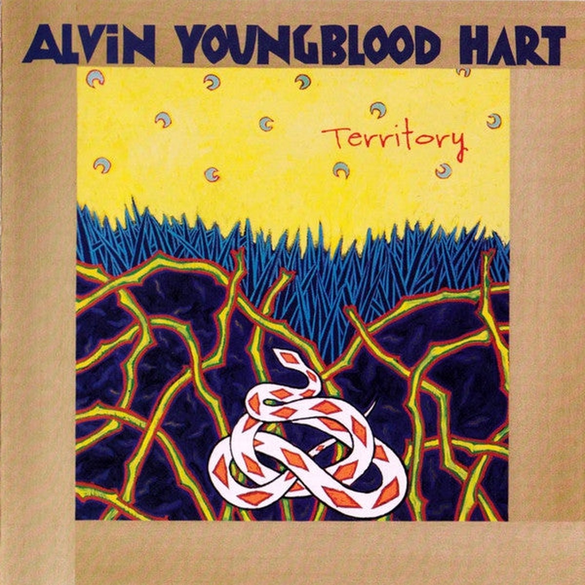 Alvin Youngblood Hart - Territory (HDCD Album) - USED