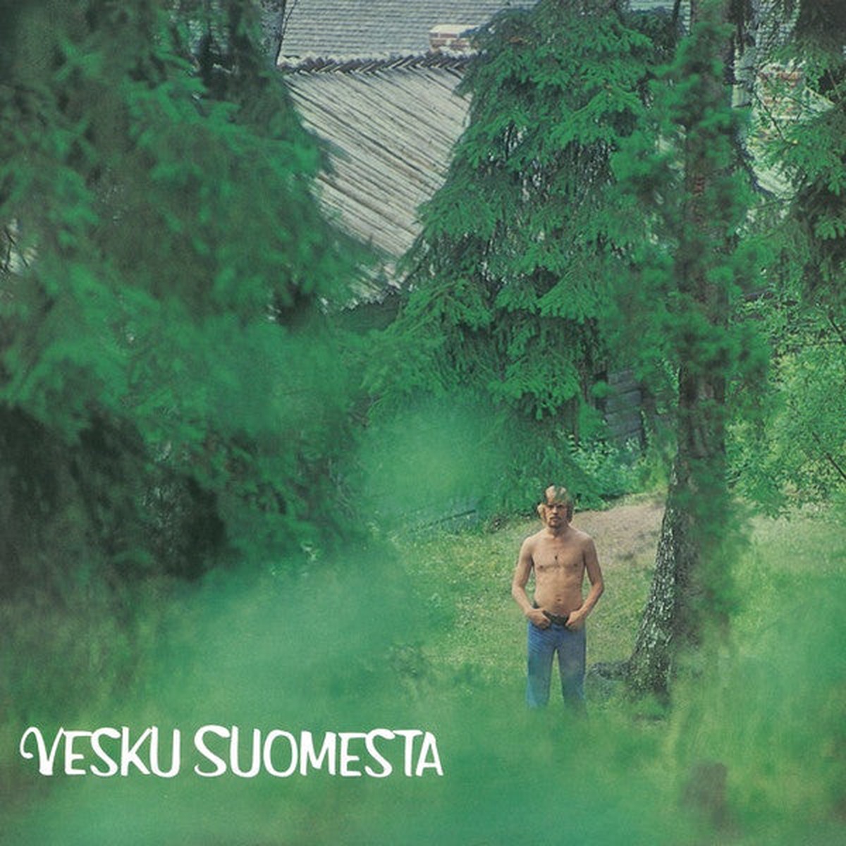 Vesa-Matti Loiri - Vesku Suomesta (LP Album RE) - USED