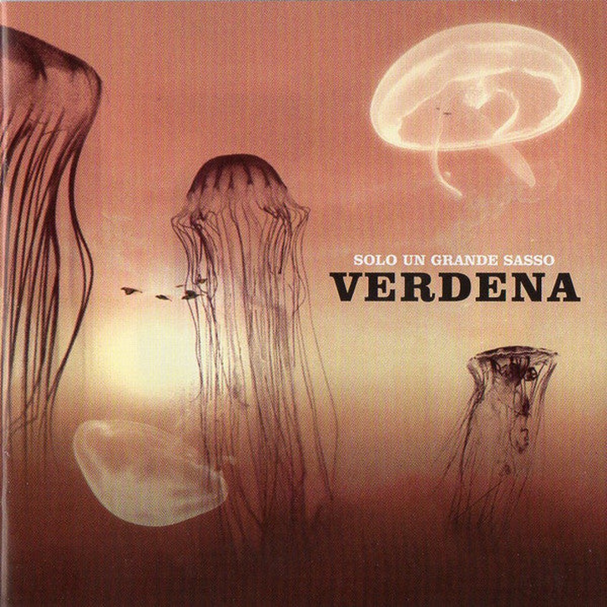Verdena - Solo Un Grande Sasso (CD Album RP) - USED