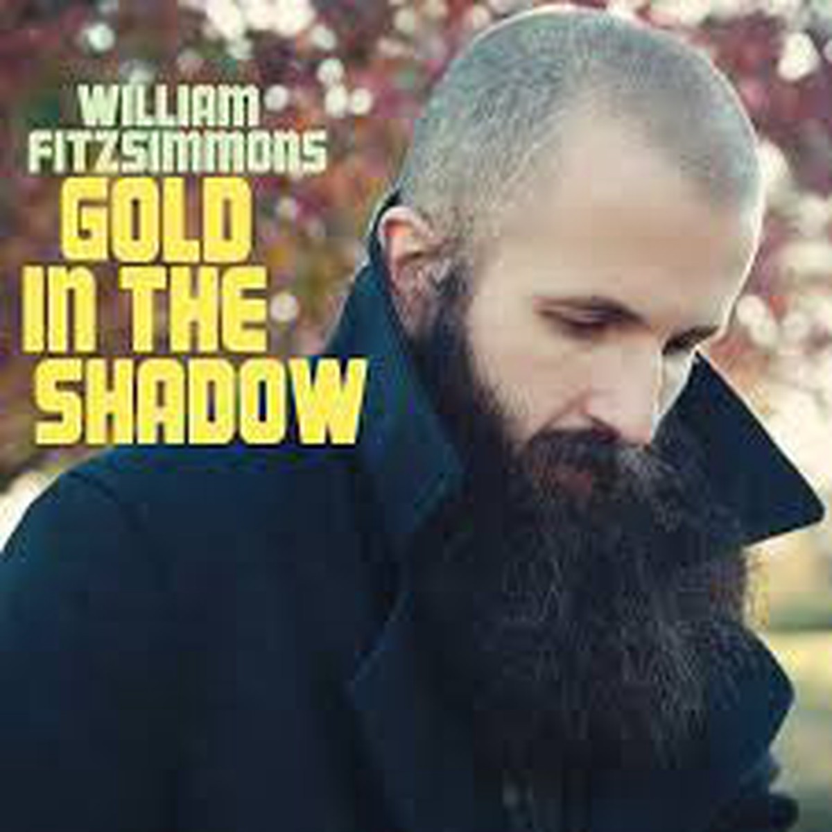 William Fitzsimmons - Gold In The Shadow (CD Album) - NEW