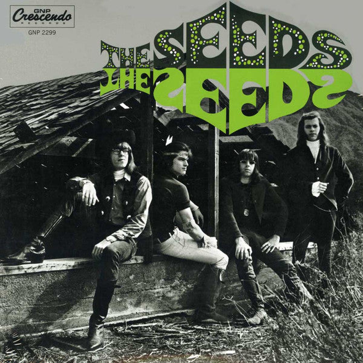 The Seeds - The Seeds (Dlx 50t LP Album Mono RE RM LP Comp) - NEW