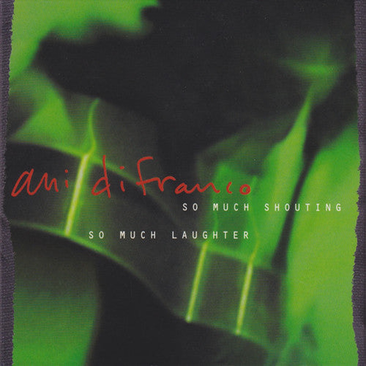 Ani DiFranco - So Much Shouting So Much Laughter (2xCD Album) - USED