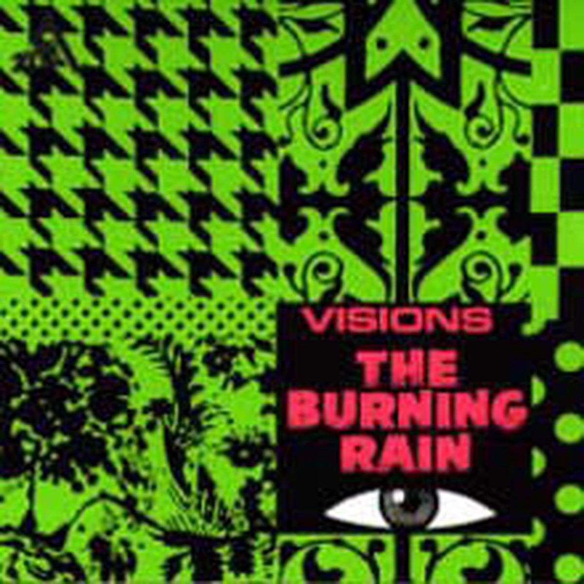 Burning Rain The - Visions (LP Album Mono) - USED
