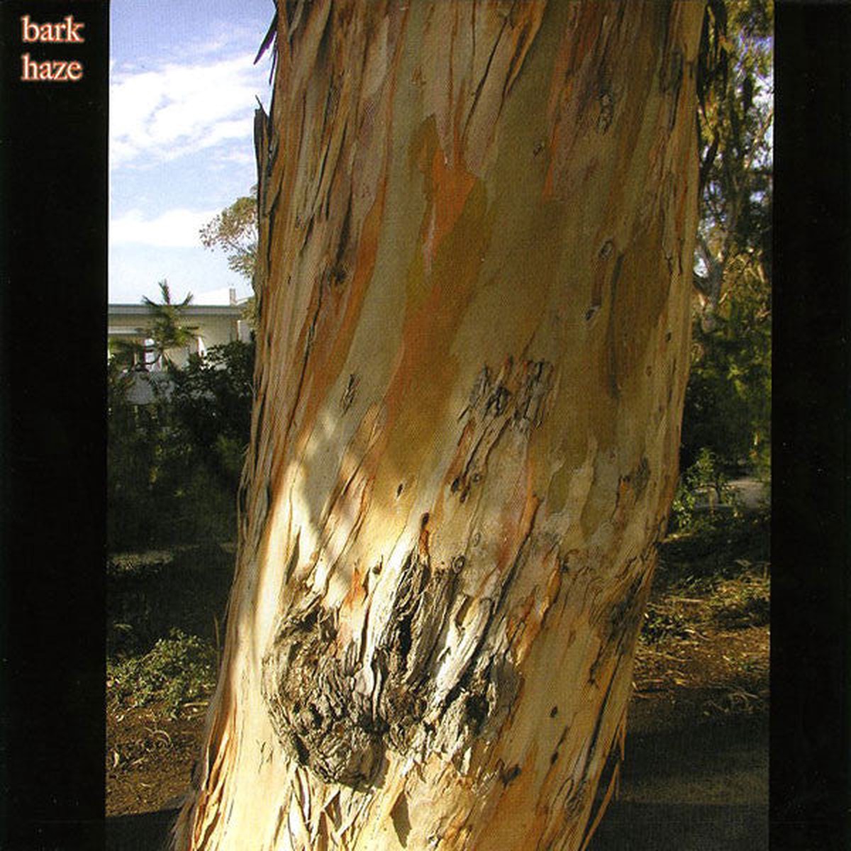 Bark Haze Our Love Will Destroy The World - Bark Haze Our Love Will Destroy The World (7 Single) - USED