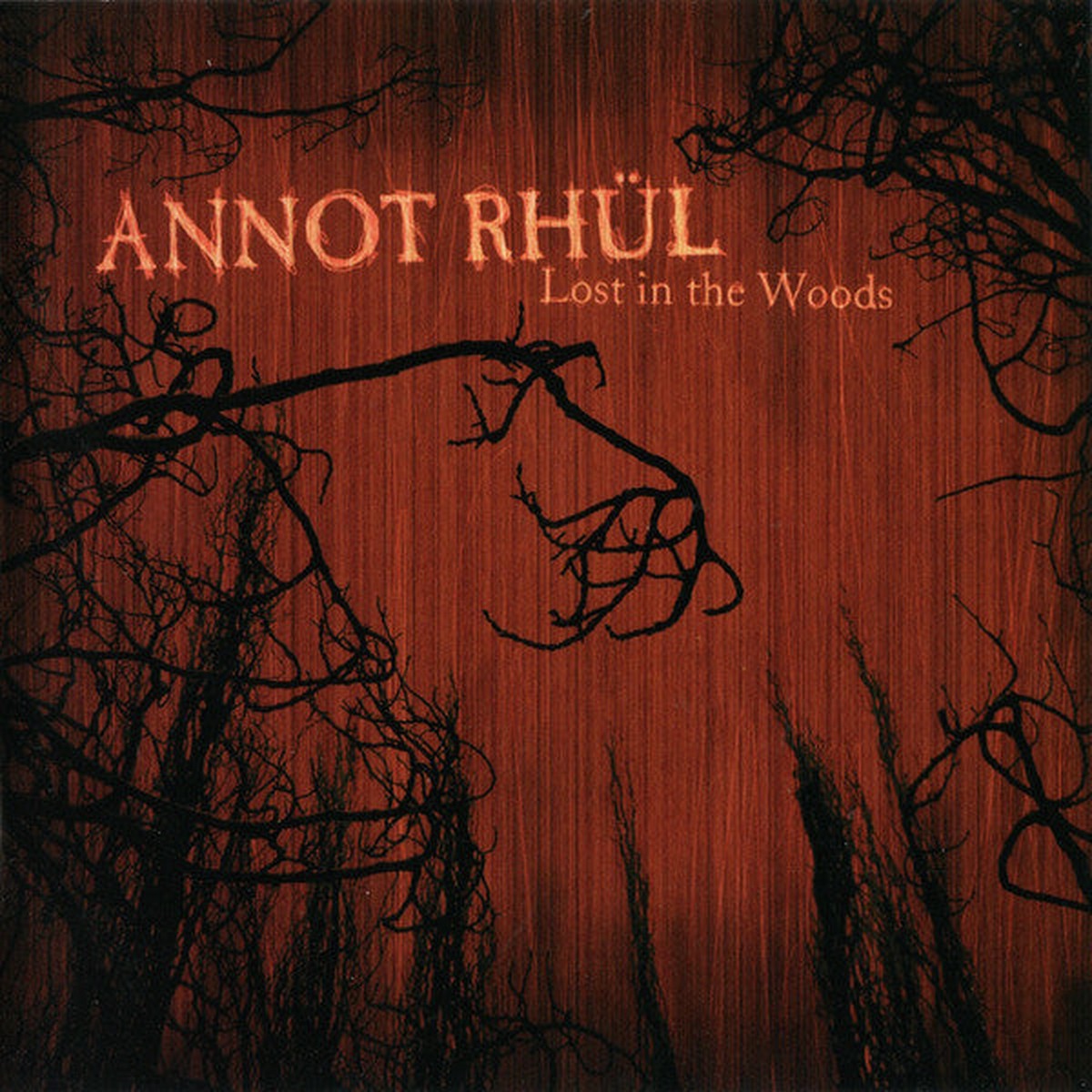 Annot Rhl - Lost In The Woods Who Needs Planes Or Time Machines When Theres Music And Daydreams (CD) - USED