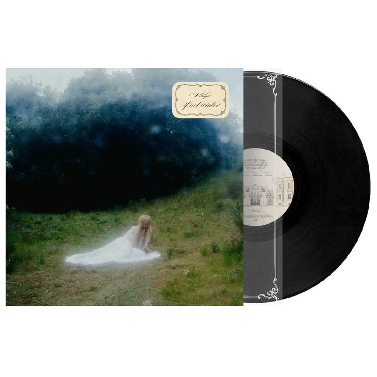 WISP - If Not Winter