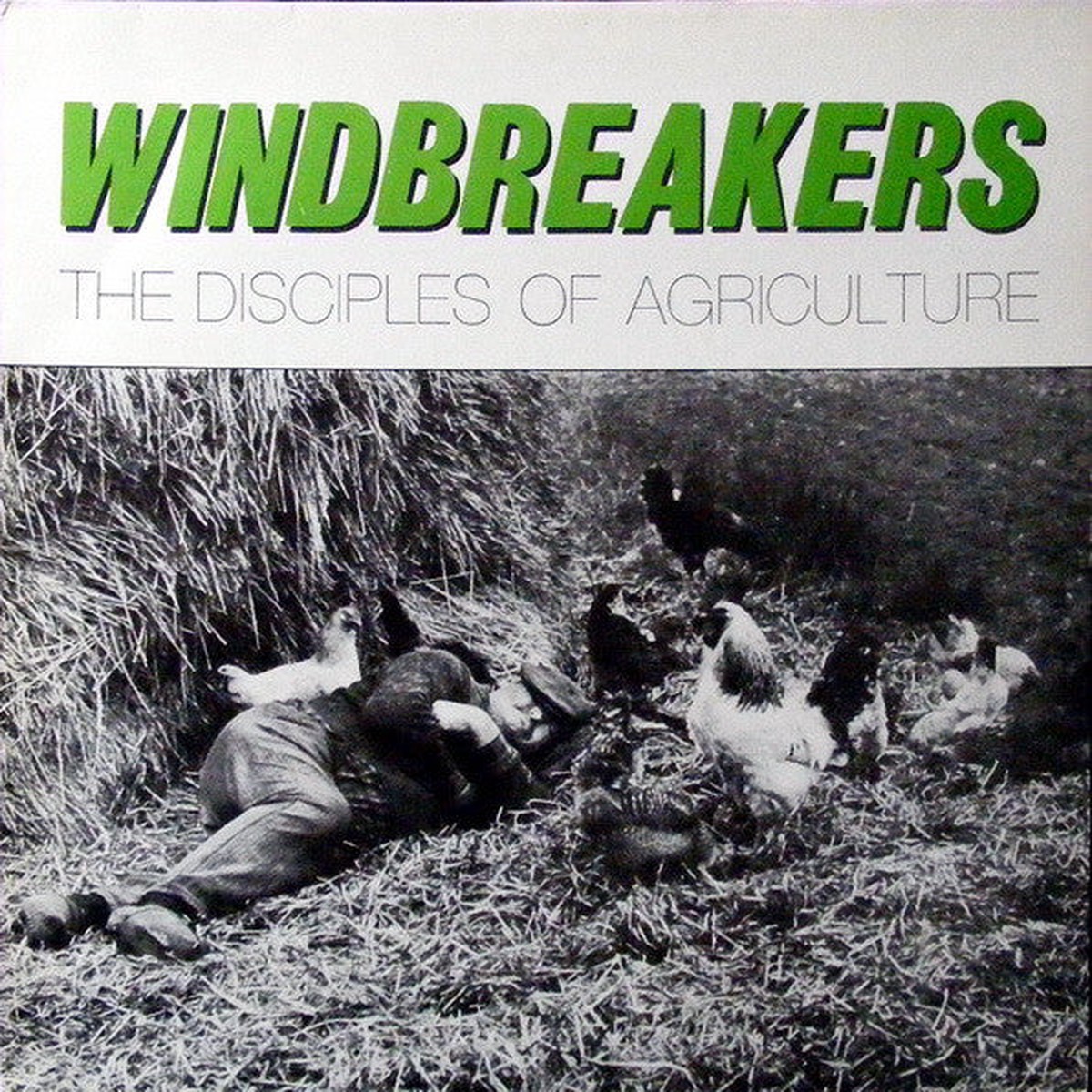 Windbreakers - The Disciples Of Agriculture (LP Album Comp) - USED