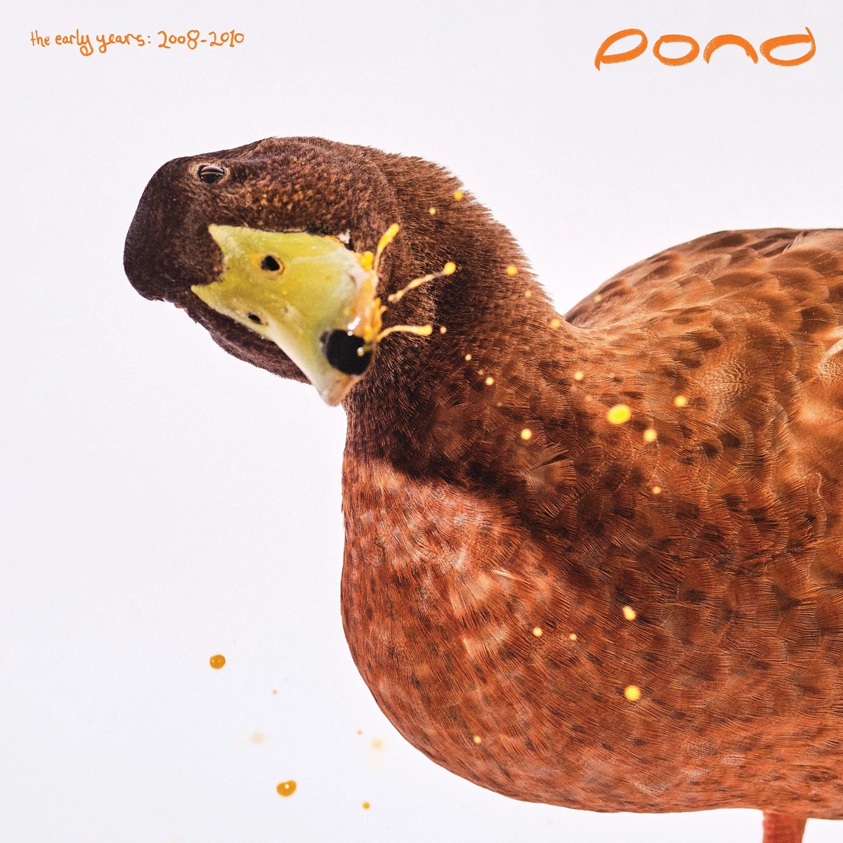 Pond - The Early Years 2008 - 2010 2-lp